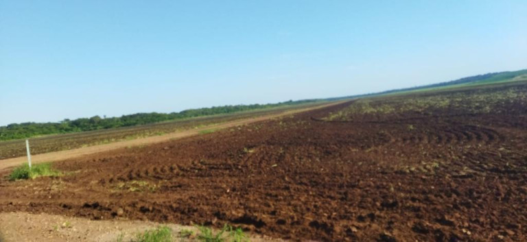 Imagem Fazenda à Venda, 776 m² em Rural - Guia Lopes Da Laguna Imagem Fazenda à Venda, 776 m² em Rural - Guia Lopes Da Laguna