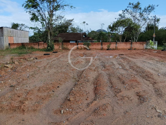 Terreno à Venda, 375 m² em Alexandra-matinhos - Matinhos