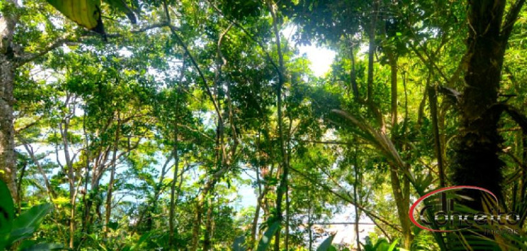 Imagem Terreno à Venda, 400 m² em Ponta Grossa - Ubatuba