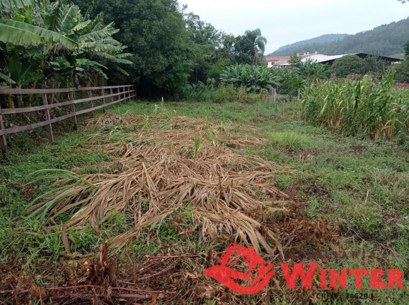 Imagem Terreno à Venda, 360 m² em Centro - Tupandi Imagem Terreno à Venda, 360 m² em Centro - Tupandi
