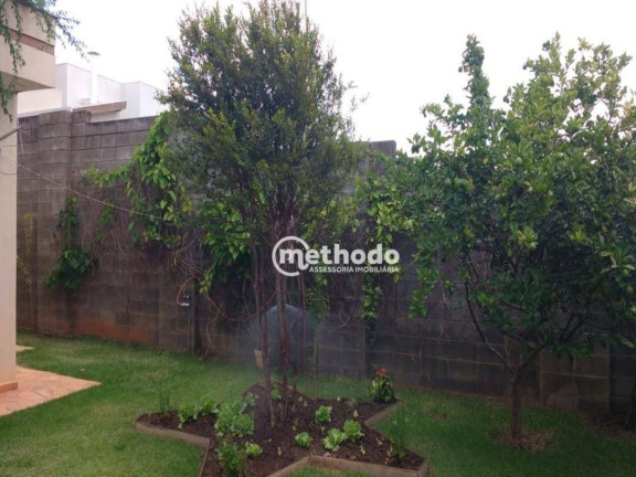 Imagem Casa com 3 Quartos à Venda, 350 m² em Swiss Park - Campinas