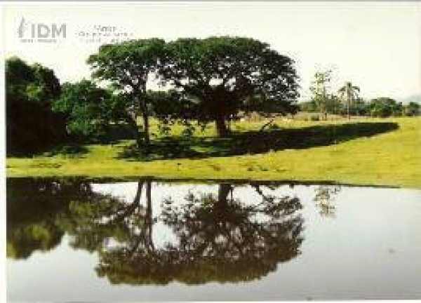 Imagem Chácara à Venda, 824.000 m² em Centro - Gravataí Imagem Chácara à Venda, 824.000 m² em Centro - Gravataí