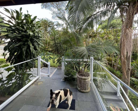 Imagem Casa com 5 Quartos à Venda, 804 m² em Chácara Granja Velha - Carapicuíba Imagem Casa com 5 Quartos à Venda, 804 m² em Chácara Granja Velha - Carapicuíba