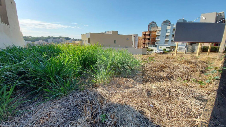 Imagem Terreno à Venda, 1.063 m² em Jardim Botânico - Ribeirão Preto Imagem Terreno à Venda, 1.063 m² em Jardim Botânico - Ribeirão Preto
