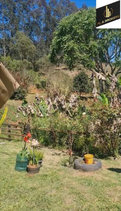 Imagem Imóvel com 4 Quartos à Venda, 46.000 m² em Freguesia Dos Laras - Campo Magro