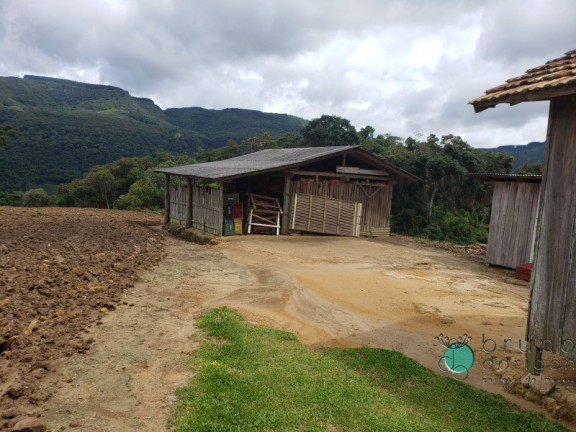 Imagem Imóvel com 1 Quarto à Venda, 60.000 m² em Zona Rural - Alfredo Wagner