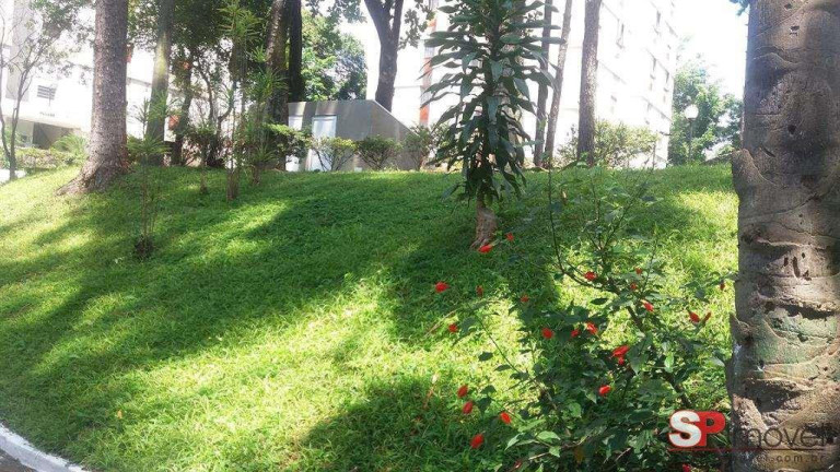 Imagem Apartamento com 2 Quartos à Venda, 70 m² em Jardim íris - São Paulo
