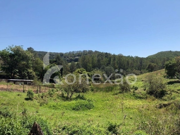 Imagem Chácara com 3 Quartos à Venda, 200 m² em Sao Germano - Paraibuna Imagem Chácara com 3 Quartos à Venda, 200 m² em Sao Germano - Paraibuna