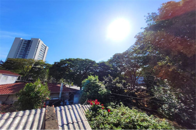 Imagem Casa com 4 Quartos à Venda, 165 m² em Jardim Petrópolis - São Paulo Imagem Casa com 4 Quartos à Venda, 165 m² em Jardim Petrópolis - São Paulo