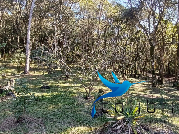 Imagem Chácara com 2 Quartos à Venda, 6.000 m² em Palmital - Agudos Do Sul