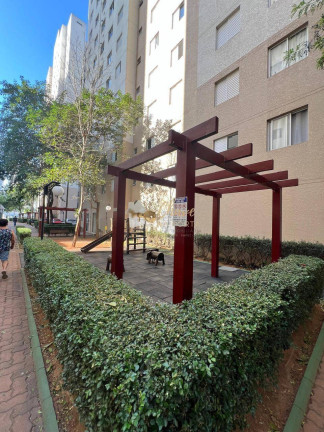 Imagem Apartamento com 2 Quartos à Venda, 43 m² em Pirajussara - São Paulo