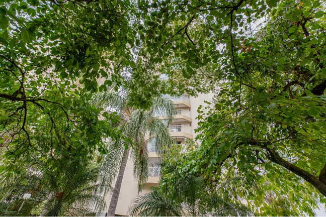 Imagem Apartamento com 3 Quartos à Venda, 71 m² em Jardim Marajoara - São Paulo Imagem Apartamento com 3 Quartos à Venda, 71 m² em Jardim Marajoara - São Paulo