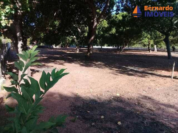 Imagem Fazenda à Venda, 1.485 m² em Passagem Do Franco - Cascavel Imagem Fazenda à Venda, 1.485 m² em Passagem Do Franco - Cascavel