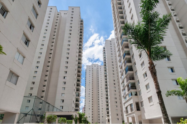 Imagem Apartamento com 3 Quartos à Venda, 81 m² em Vila Amélia - São Paulo Imagem Apartamento com 3 Quartos à Venda, 81 m² em Vila Amélia - São Paulo