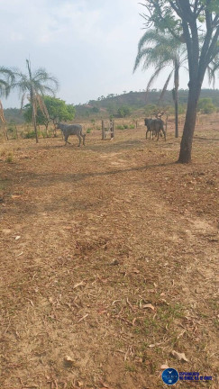 Imagem Fazenda à Venda, 77 m² em Zona Rural - Flores De Goiás Imagem Fazenda à Venda, 77 m² em Zona Rural - Flores De Goiás
