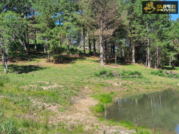 Imóvel com 1 Quarto à Venda, 20.000 m² em Cascata - Pelotas