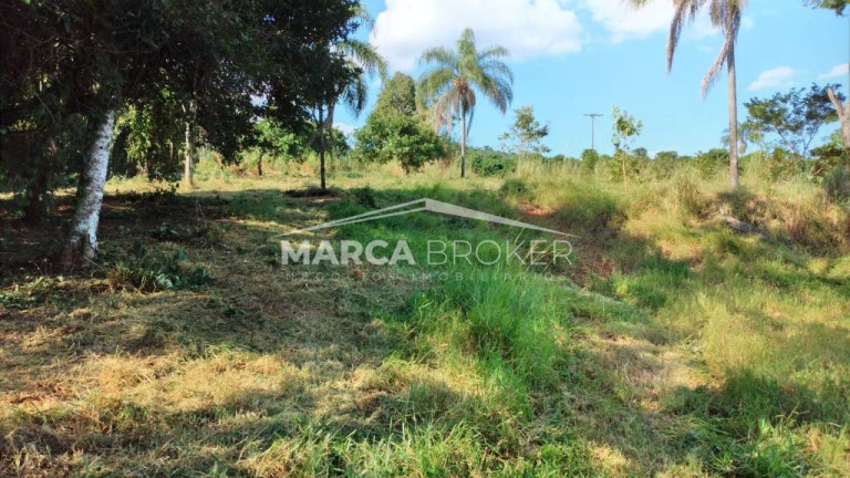 Imagem Fazenda à Venda, 35.000 m² em Floresta - Monte Santo De Minas Imagem Fazenda à Venda, 35.000 m² em Floresta - Monte Santo De Minas