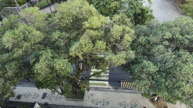 Imagem Imóvel com 3 Quartos à Venda, 104 m² em Campo Grande - Salvador Imagem Imóvel com 3 Quartos à Venda, 104 m² em Campo Grande - Salvador