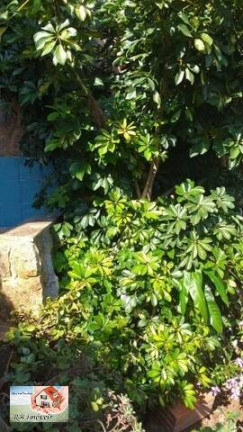 Imagem Casa com 2 Quartos à Venda, 67 m² em Vila Tibiriçá - Santo André