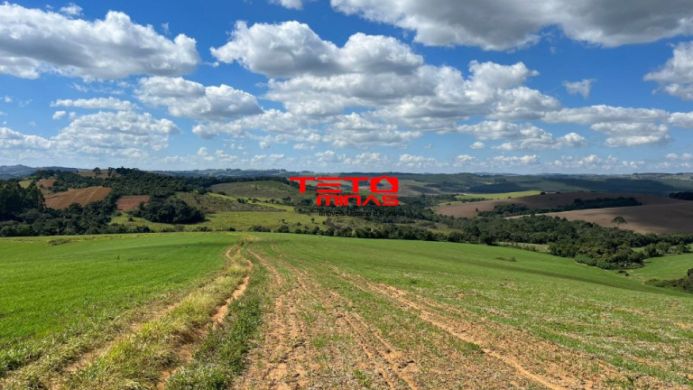 Imagem Imóvel à Venda, em Zona Rural De Zona Rural De Ipuiuna - São Lourenço Imagem Imóvel à Venda, em Zona Rural De Zona Rural De Ipuiuna - São Lourenço