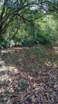 Imagem Chácara à Venda,  em Viamão