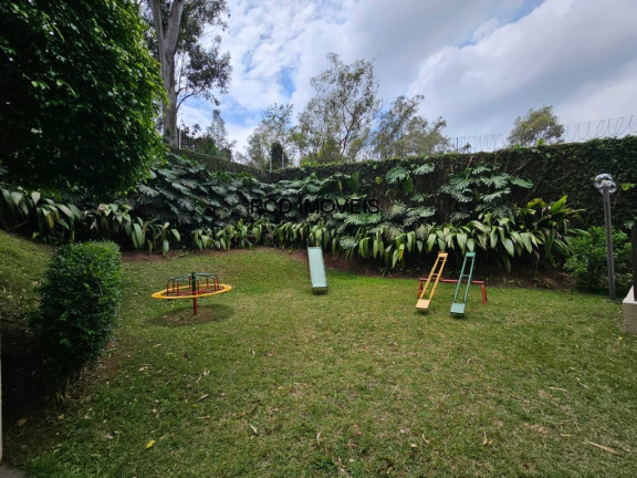 Imagem Apartamento com 3 Quartos à Venda, 69 m² em Vila Indiana - São Paulo