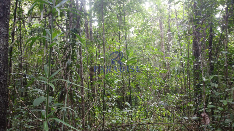 Imagem Fazenda à Venda, 20.000 m² em Barra Do Pojuca - Camaçari Imagem Fazenda à Venda, 20.000 m² em Barra Do Pojuca - Camaçari