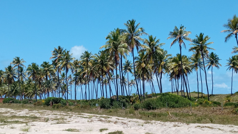 Imagem Terreno à Venda, 856 m² em Guarajuba - Camaçari Imagem Terreno à Venda, 856 m² em Guarajuba - Camaçari