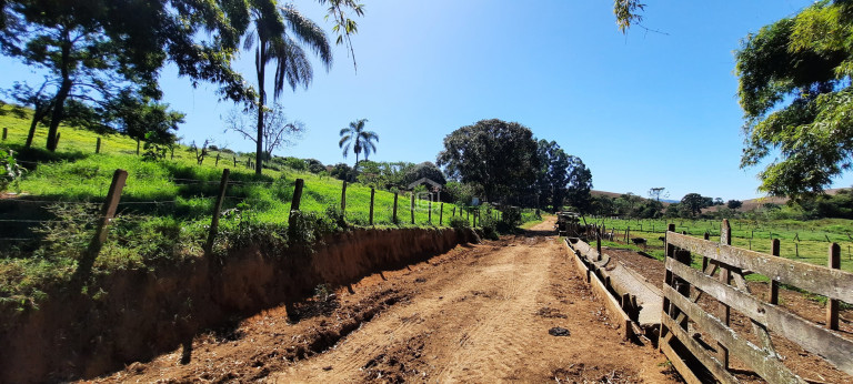 Imagem Imóvel com 3 Quartos à Venda, 11 m² em Barreiro 2 (rural) - Caldas