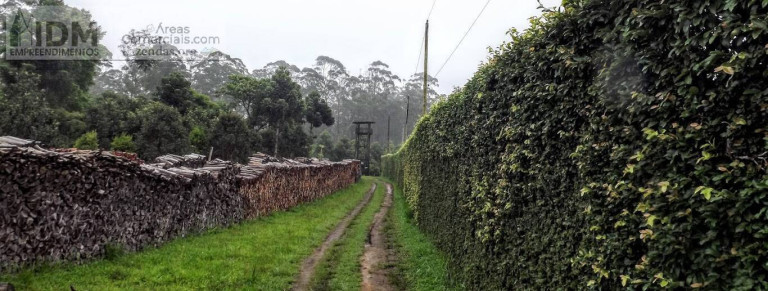 Imagem Chácara à Venda, 1.380.000 m² em Bororé - São Paulo Imagem Chácara à Venda, 1.380.000 m² em Bororé - São Paulo