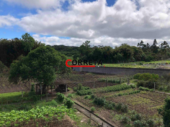 Imagem Casa com 5 Quartos à Venda, 11.200 m² em Centro - Ibiúna Imagem Casa com 5 Quartos à Venda, 11.200 m² em Centro - Ibiúna