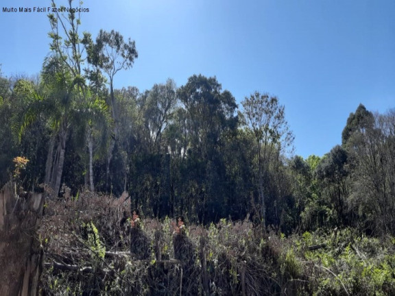 Imagem Terreno à Venda, 687 m² em Piá - Nova Petrópolis