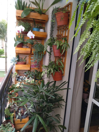 Imagem Apartamento com 3 Quartos à Venda, 80 m² em Nova Petrópolis - São Bernardo Do Campo