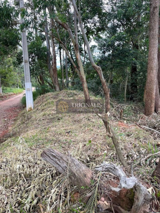 Imagem Terreno à Venda, 360 m² em Bosque Dos Eucalíptos - Atibaia Imagem Terreno à Venda, 360 m² em Bosque Dos Eucalíptos - Atibaia