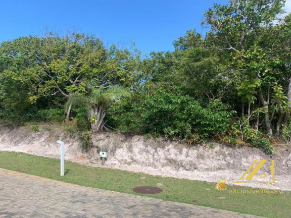 Imagem Imóvel com 6 Quartos à Venda, 400 m² em Praia Do Forte - Mata De São João Imagem Imóvel com 6 Quartos à Venda, 400 m² em Praia Do Forte - Mata De São João
