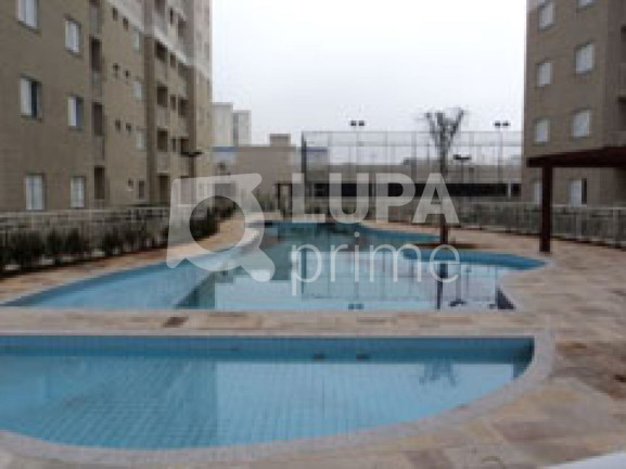 Imagem Apartamento com 3 Quartos à Venda, 63 m² em Vila Guilherme - São Paulo Imagem Apartamento com 3 Quartos à Venda, 63 m² em Vila Guilherme - São Paulo
