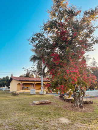 Imagem Chácara com 4 Quartos à Venda, 89 m² em Centro - Araçoiaba Da Serra Imagem Chácara com 4 Quartos à Venda, 89 m² em Centro - Araçoiaba Da Serra