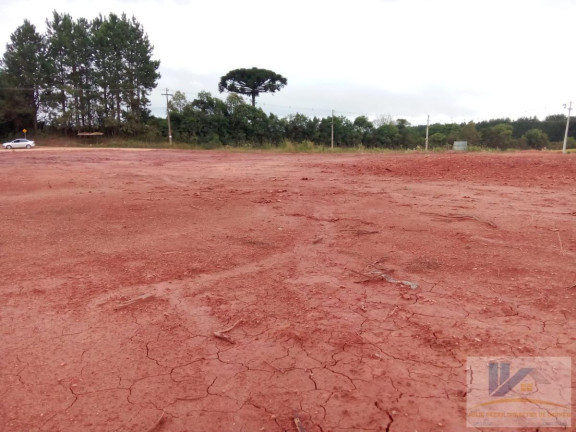 Imagem Terreno à Venda, 4.411 m² em Campo Largo Da Roseira - São José Dos Pinhais Imagem Terreno à Venda, 4.411 m² em Campo Largo Da Roseira - São José Dos Pinhais