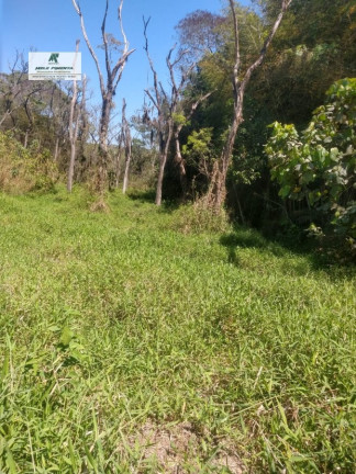 Imagem Terreno à Venda, 2.500 m² em Caetê - São Roque