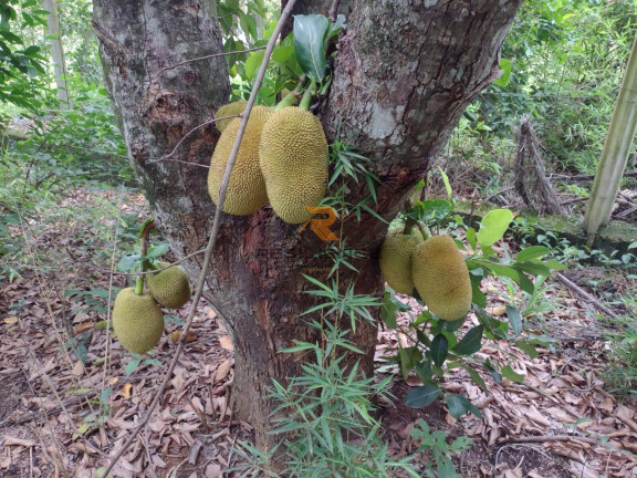 Terreno à Venda, 6 m² em Campinho - Lagoa Santa