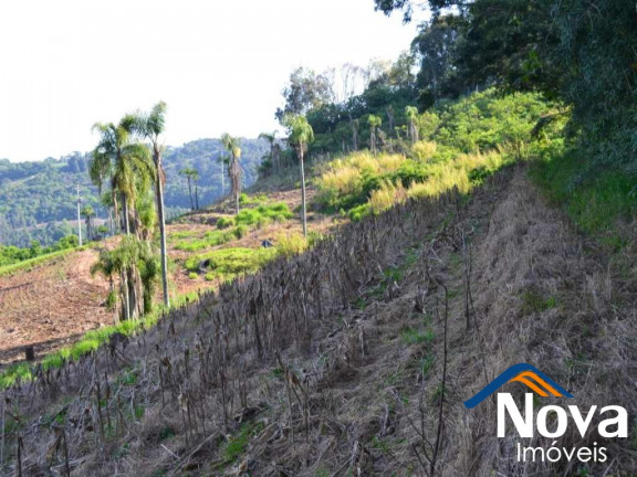 Imagem Imóvel à Venda, em Pinhal Alto - Nova Petrópolis Imagem Imóvel à Venda, em Pinhal Alto - Nova Petrópolis