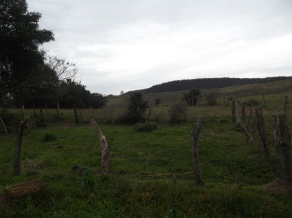 Imagem Chácara com 1 Quarto à Venda, 108.000 m² em Itapuã - Viamão