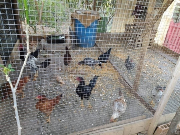 Imagem Chácara com 1 Quarto à Venda, 10 m² em Piraporão - Piedade