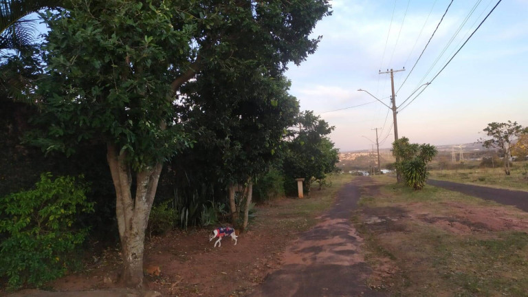 Imagem Casa com 5 Quartos à Venda, 699 m² em Quinta Da Bela Olinda - Bauru