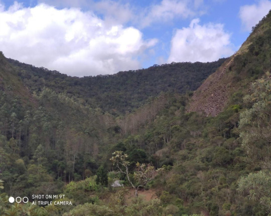 Imagem Imóvel à Venda, 2.500.000 m² em Fazenda Bela Vista - Nova Friburgo Imagem Imóvel à Venda, 2.500.000 m² em Fazenda Bela Vista - Nova Friburgo