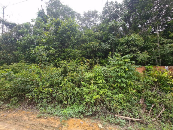 Imagem Terreno à Venda, 100 m² em Tarumã-açu - Manaus Imagem Terreno à Venda, 100 m² em Tarumã-açu - Manaus