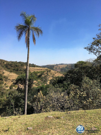 Imagem Chácara à Venda, 62.900 m² em Pardinho Imagem Chácara à Venda, 62.900 m² em Pardinho