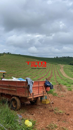 Imagem Imóvel à Venda, em Muzambinho - Muzambinho Imagem Imóvel à Venda, em Muzambinho - Muzambinho