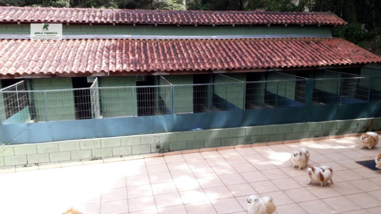 Imagem Chácara com 5 Quartos à Venda, 7.000 m² em Alto Da Serra - São Roque