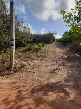 Imagem Terreno à Venda, 6.000 m² em Tibau Do Sul